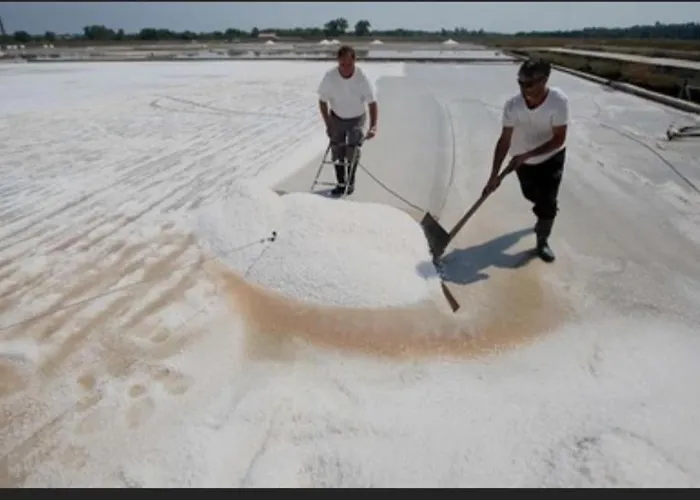 Appartement Golden *